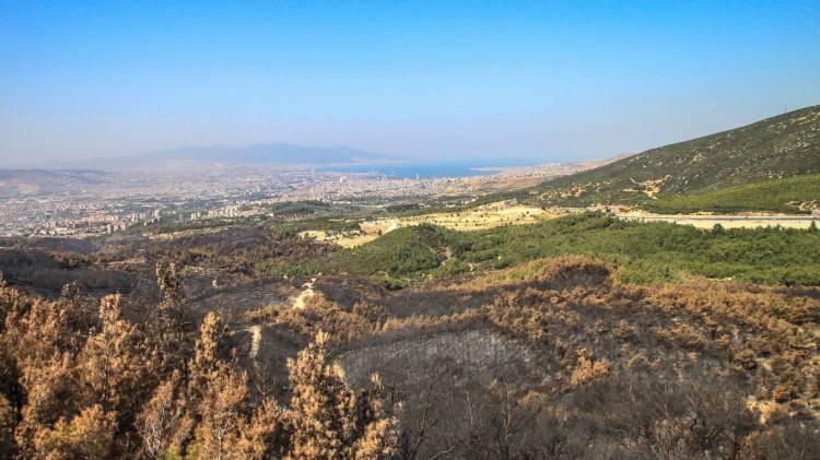 <p><strong>175 HEKTAR ORMAN ALANI ZARAR GÖRMÜŞTÜ</strong></p>
<p> </p>
<p>6 saatte kontrol altına alınabilen yangında toplam 175 hektar orman alanı zarar görmüştü. 14 yıl önce yanan alanda incelemeler yapmak üzere bölgeye gelen İzmir Orman Bölge Müdürü Zafer Derince burada bulunan seyir kulesine çıktı son duruma ilişkin İzmir Orman İşletme Müdür Yardımcısı İlyas Akyol ve Belkahve Orman İşletme Şefi Yasin Sütçü’den bilgi aldı.</p>