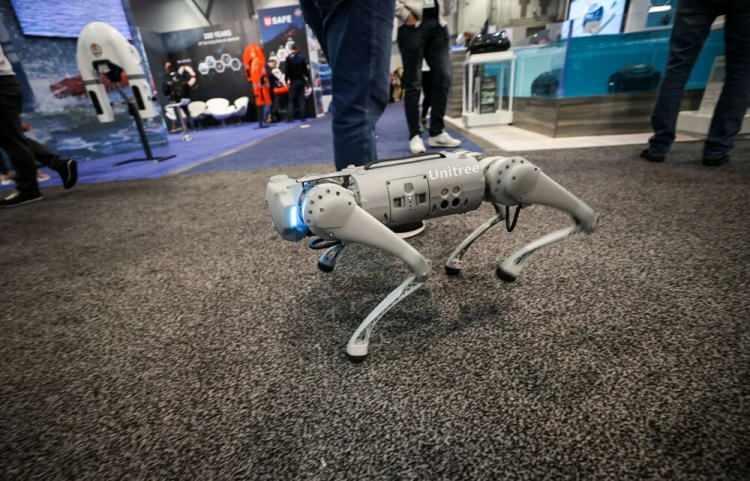 <p>Robotik köpek "Unitree B1"</p>