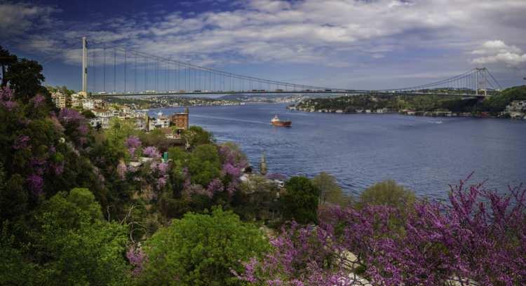 <p><strong>1-SARIYER'DE DENİZANASI İSTİLASI</strong></p>

<p>İstanbul'un en güzel manzaralı ilçeleri arasında yer alan Sarıyer, yeni yılın ilk günlerinde denizanası istilasıyla karşı karşıya kaldı.</p>
