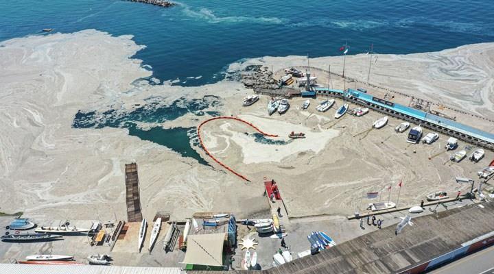 <p>Çevre, Şehircilik ve İklim Değişikliği Bakanlığı'na bağlı ekipler gecelerini gündüzlerine katarak Marmara Denizi'ni kolaçan edip denizin eski görünümüne kavuşmasını sağladı.</p>