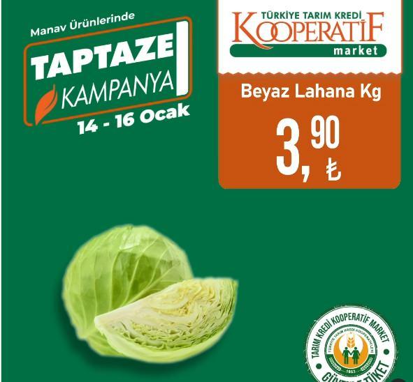 <p>Beyaz Lahana KG: 3,90 TL</p>