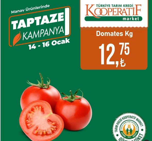 <p>Domates KG: 12,75 TL</p>