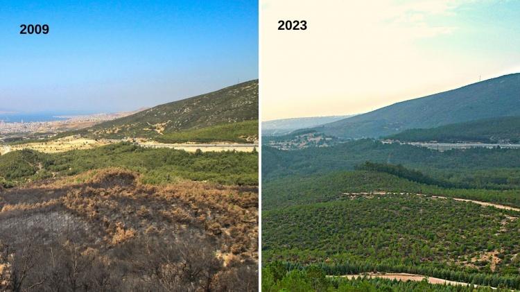 <p>İzmir'in akciğerleri olarak bilinen Bornova Çiçekli Ormanları'nda yangının izleri tamamen silindi. İzmir'in akciğerleri olarak bilinen alanda tam 14 yıl sonra ağaçlar yeşerdi.</p>
