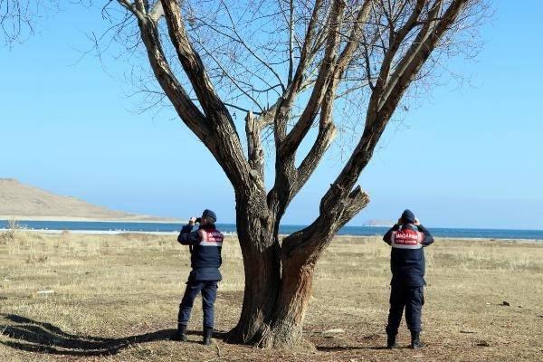 <p>Bu uygulamadan çok memnunuz. Buraya avcıların girmesi yasak. Ekipler buna izin vermiyor. Kışı geçirmek için Rusya'dan gelen ötücü kuğular, zaman zaman görsel şölen sunuyor. </p>
