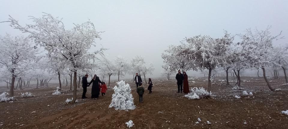 <p>Son yılların en kurak kışını geçiren Bitlis'te merkez ve ilçelerinde yazdan kalma günler yaşanırken, Güroymak ilçesinde ise soğuk ve sisli hava etkili oluyor. Gün içerisinde hava sıcaklığının sıfırın altına düştüğü ilçede ağaçlar ve bitkiler tamamen kırağı ile kaplandı. Adeta çiçek açan ağaçları andıran görüntü güzelliğiyle hayran bırakıyor.</p>