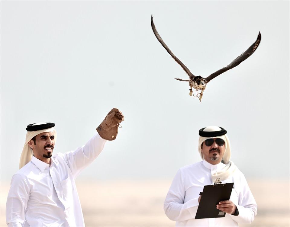 <p>Katar'ın başkenti Doha'da, Körfez ülkelerinin katılımıyla düzenlenen 14. Geleneksel Şahin ve Avcılık Festivali'nde yarışan şahinler avcılık yeteneklerini ortaya koyuyor.</p>

<p> </p>
