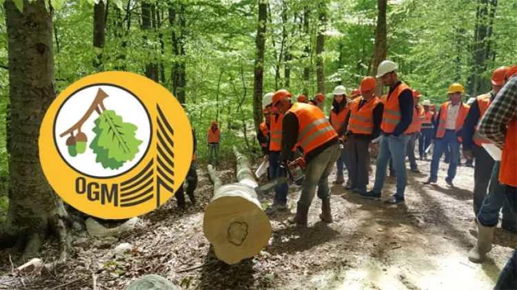 OGM en az 65 KPSS puan ile memur alımı yapacak! Başvuru şartları neler?