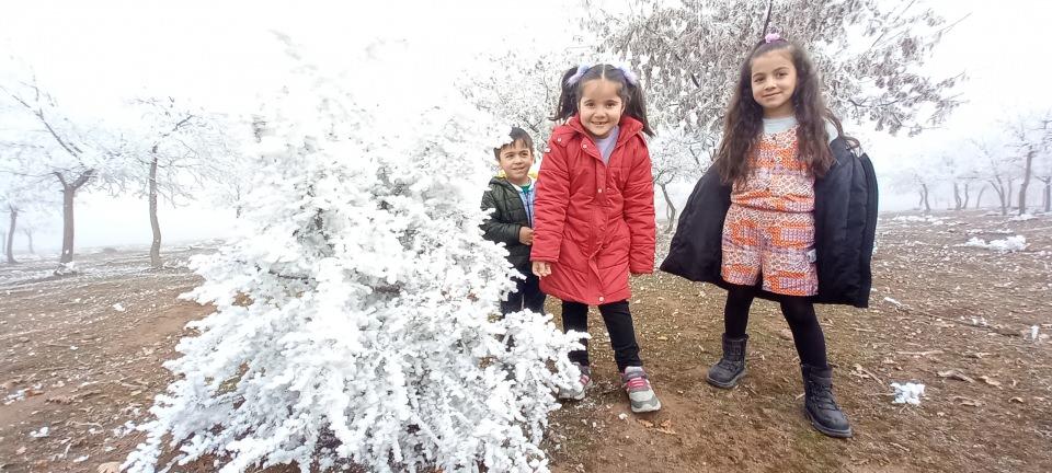 <p>Bitlis'in Güroymak ilçesinde kırağı tutan ağaçlar seyrine doyumsuz kartpostallık görüntüler oluşturdu.</p>