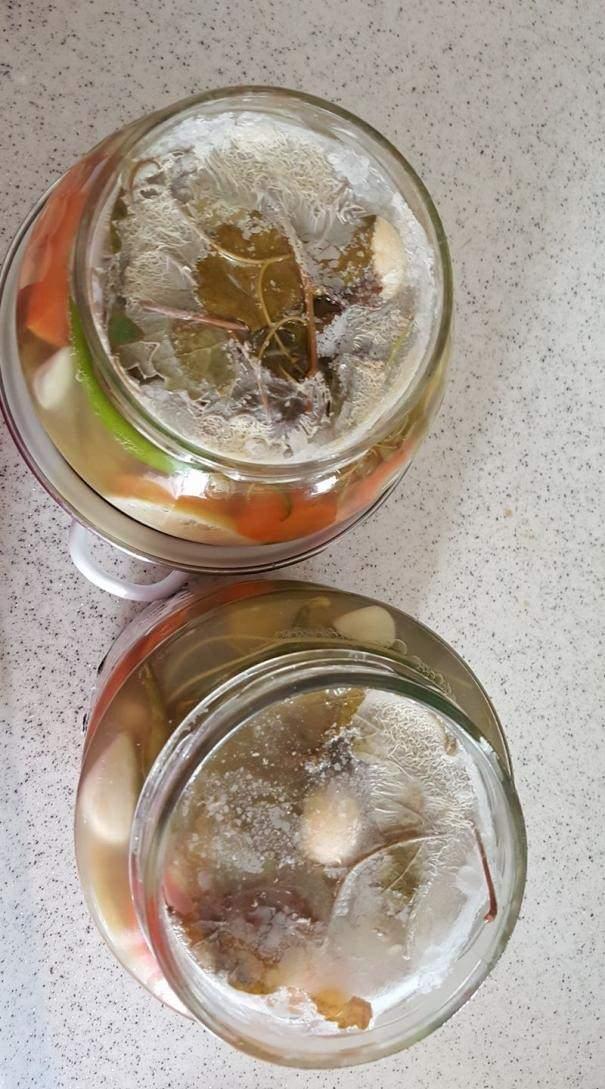 <p><span style="color:#B22222"><strong>Eğer uygun oranda tuz eklenmediyse ve/veya uygun sıcaklıkta bekletilmediyse beyaz tabaka g&ouml;r&uuml;lme olasılığı daha y&uuml;ksektir.</strong></span></p>
