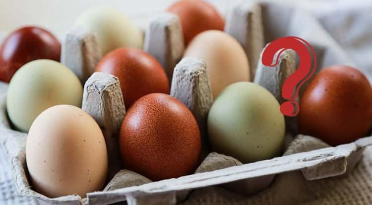 <p><strong>Yumurta, kahvaltı öğünlerinin vazgeçilmez protein kaynağıdır. Yediden yetmişe herkesin tüketmesi gereken yumurta market raflarında farklı renkleriyle satışa sunuluyor. Özellikle kahverengi olan yumurtanın daha sağlıklı olduğu ve organik olduğuna inanılıyor. Peki, yumurtaların farklı renkte olmasının sebebi nedir? Beyaz ve kahverengi yumurta arasındaki fark nedir? İşte yanıtlar:</strong></p>
