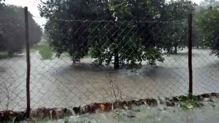 <p> </p>

<p>Kuvvetli fırtına ve yağışın gece yarısından sonra etkisini kaybetmesi, yarın Antalya'nın doğu ilçelerinde yer yer etkili olması bekleniyor.</p>
