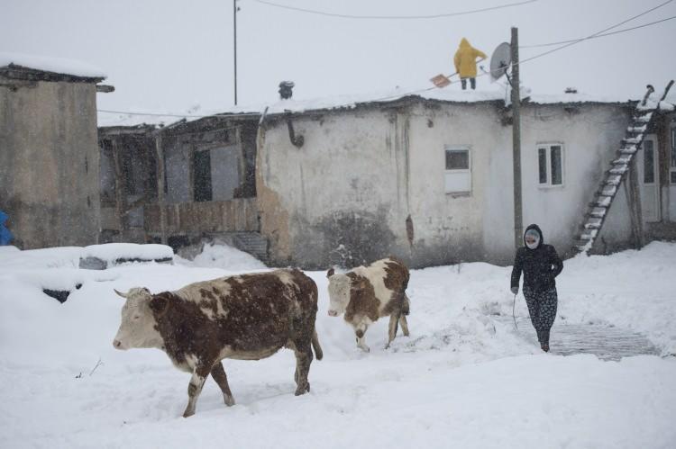 <p>TUNCELİ</p>
