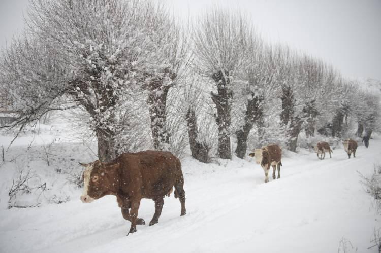 <p>TUNCELİ</p>
