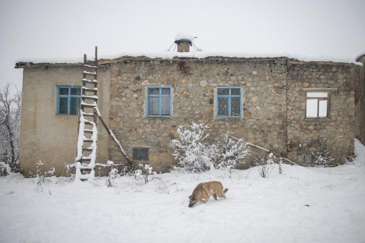 <p>TUNCELİ</p>
