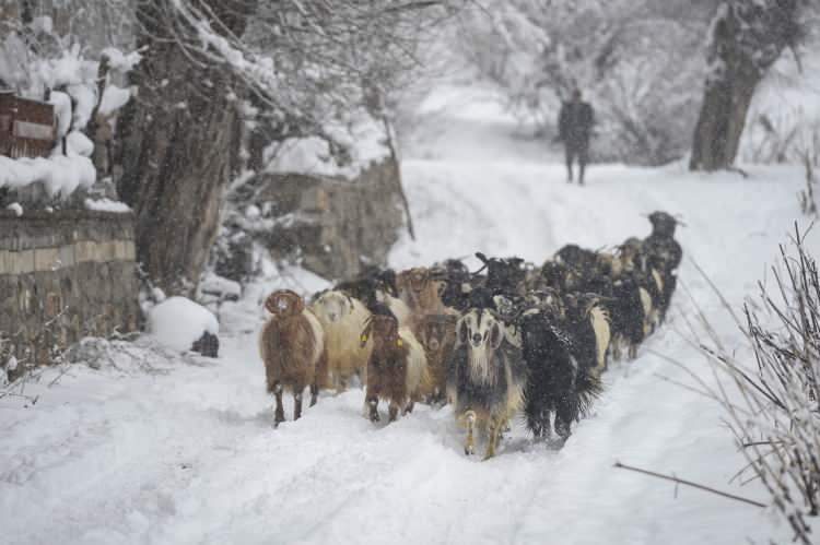 <p>TUNCELİ</p>
