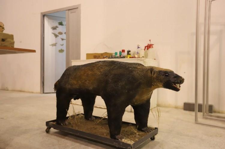 <p>Başkan Büyükkılıç, ziyarette, Kayseri’nin paleontoloji ve fosil alanında da çok büyük zenginliklere sahip olduğunu vurgulayarak, Prof. Dr. Başoğlu ve ekibine çalışmalarında başarılar diledi.<br />
Ankara Hacı Bayram Veli Üniversitesi Arkeoloji Bölümü Öğretim Üyesi Prof. Dr. Okşan Başoğlu ise Başkan Büyükkılıç’a desteklerinden dolayı teşekkür etti.</p>
