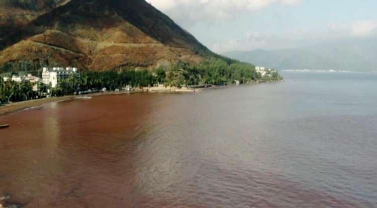 <p>Derelerden gelen sel suları Marmaris Körfezi'nde denizin rengini kahverengiye dönüştürdü.</p>

<p> </p>
