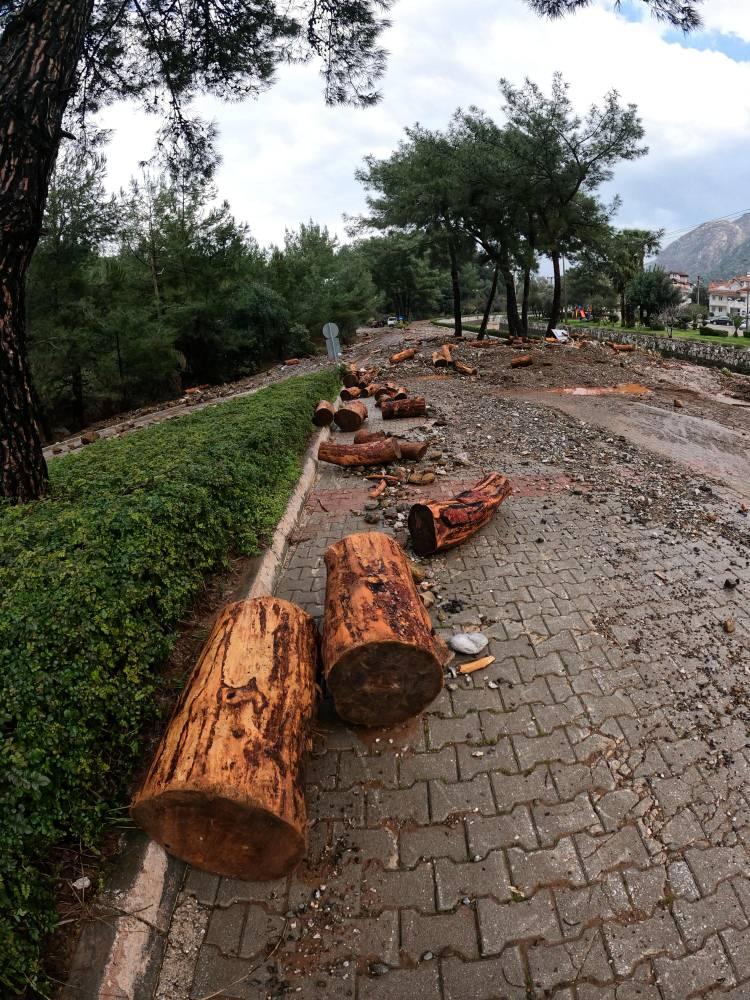 <p>Muğla Büyükşehir Belediyesinden yapılan yazılı açıklamada, Marmaris ilçesinde özellikle öğle saatlerinde etkisini arttıran sağanak nedeniyle bir evde su baskını yüzünden mahsur kalan vatandaşa, 3 dere ağzı temizliği ile 7 yağmur gideri tıkanıklığına, yağmur sonrası tıkanan büz ağızları ve yol temizlik çalışmalarına ekiplerin müdahale ettiği bildirildi.</p>

