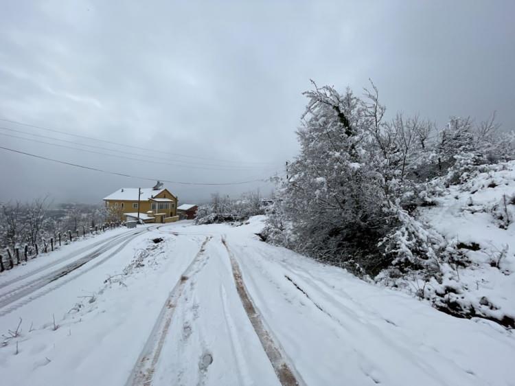 <p>BARTIN</p>
