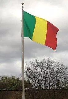 <p>133- MALİ</p>
