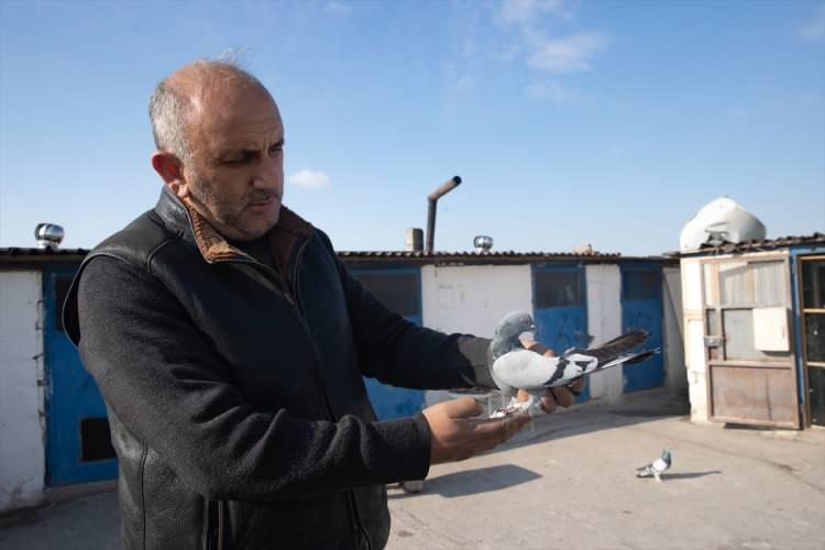 <p>Ankara Efsane Güvercin Sevenler Derneğinin başkanlığını da yapan Fidanboy, Ulus'taki Saman Pazarı'nda uzun yıllar dikiş, nakış makinelerinin tamirini yaparken dedesiyle beraber başladığı güvercin besleme hobisini 34 yıldır sürdürüyor.</p>
