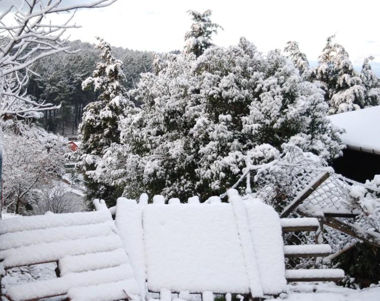<p>İstanbul'da gece başlayan kar yağışı kentin yüksek kesimlerinde etkili oldu. </p>

<p> </p>
