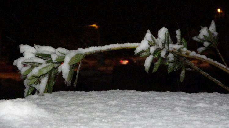 <p>Hayri Demirtaş, "Şubatın 1'i bug&uuml;n g&uuml;zel bir kar yağıyordu, bu karı da bekliyorduk. Beklediğimiz i&ccedil;in arkadaşlarla durduk bir fotoğraf &ccedil;ektirelim dedik" dedi.</p>

<p>&nbsp;</p>
