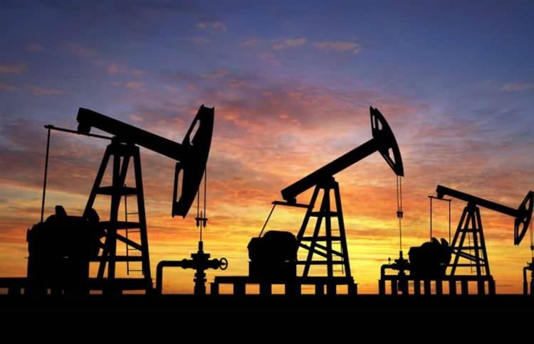 <p>Hatay özelinde baktıklarında yaptıkları bilimsel çalışmalarla bölgede petrolün varlığını tamamen ortaya koymuş olduklarını dikkat çeken Prof. Dr. Yaşar,</p>
<p> </p>