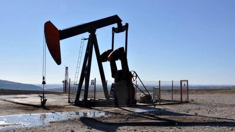 <p>TARİHİ KAYITLARA GÖRE VAN'DA 4 BÖLGEDE PETROL VAR</p>