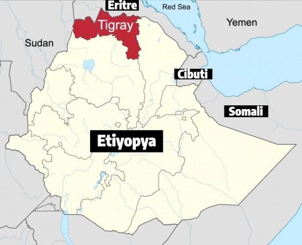 <p>2021'de Etiyopya, kara kuvvetlerinin durduramadığı Tigray isyancılarına karşı Bayraktar TB2'leri kullandı. James Rogers şu yorumu yapıyor:</p>

<p> </p>
