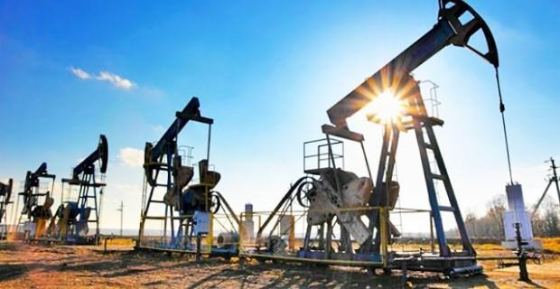 <p>Bölgedeki kuyulardan temin ettikleri hidrojen çalışmaları ile toplam karbon oranlarına baktıklarında petrol varlığını ispat ettiklerine değinen Yaşar, </p>
<p> </p>