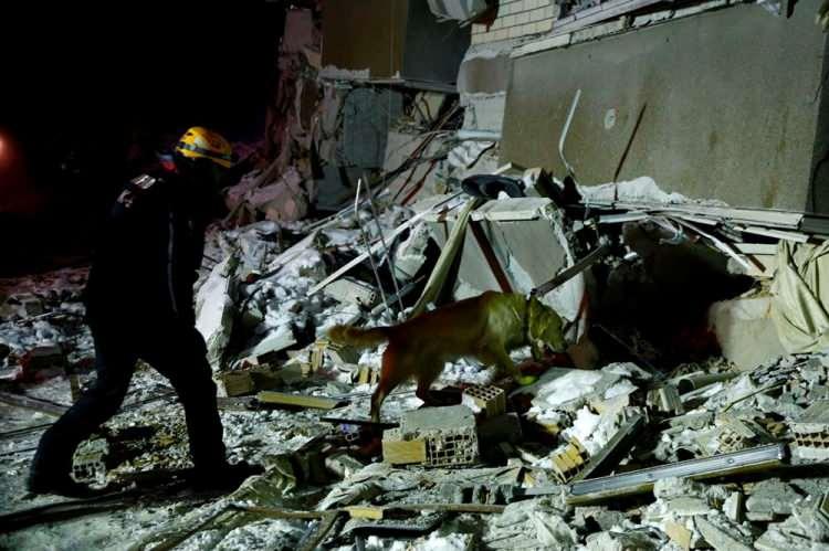<p>Köpeklerin eğitimine önem verdiklerini anlatan Bulut, itaat, yönlendirme gibi eğitimlerden sonra enkazda birebir eğitimlerin yapıldığını dile getirdi.</p>

<p> </p>
