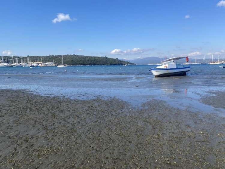 <p>"Her deniz çekilmesi bir tsunami habercisi değil. Burada gözlemlenen deniz çekilmesi ise deprem ile ilgili değildir. Çünkü çekilme belirli aralıklarla yavaş yavaş gelişmiş ve devamlılık göstermektedir. Bir süre sonrada asıl haline gelecektir.</p>