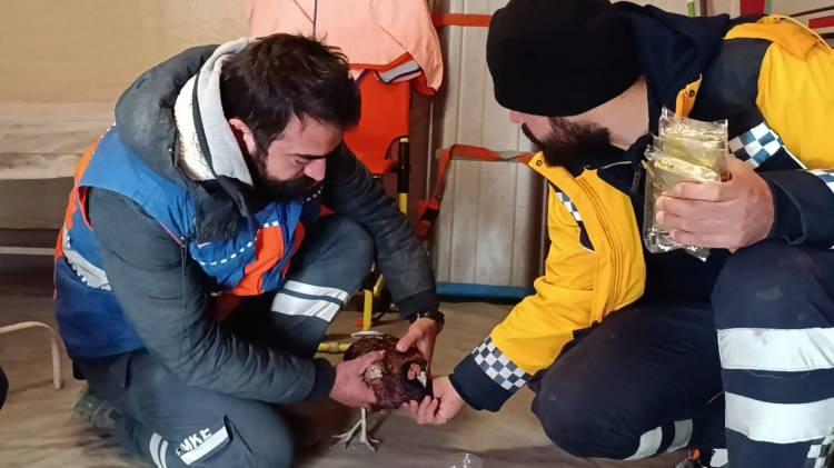 <p>Depremde yıkılan merkez Bağlar ilçesi Mevlana Halit Mahallesi Cengizler Caddesi'ndeki Hisami Apartmanı'nda enkaz altında kalanların kurtarılması amacıyla AFAD, UMKE, 112 Acil Sağlık, polis, jandarma ve itfaiye ekiplerinin yürüttüğü arama kurtarma çalışmaları devam ediyor.</p>
