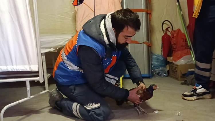 <p>Köpekleri enkazdan kurtaran ekipte yer alan Milli Eğitim Bakanlığı (MEB) Arama ve Kurtarma Biriminde (AKUB) görevli öğretmenlerden Ali Alioğlu, gazetecilere, bir ses duymaları üzerine sessizlik uyarısında bulunduklarını söyledi.</p>