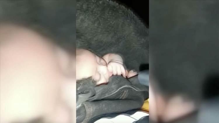 <p>ELBİSTAN'DA 2 AYLIK BEBEK ENKAZDAN KURTARILDI!</p>
<p> </p>
<p>Elbistan'da 48 saat sonra kurtarılan 2 aylık bebek enkazdan elini emerek çıktı.</p>
