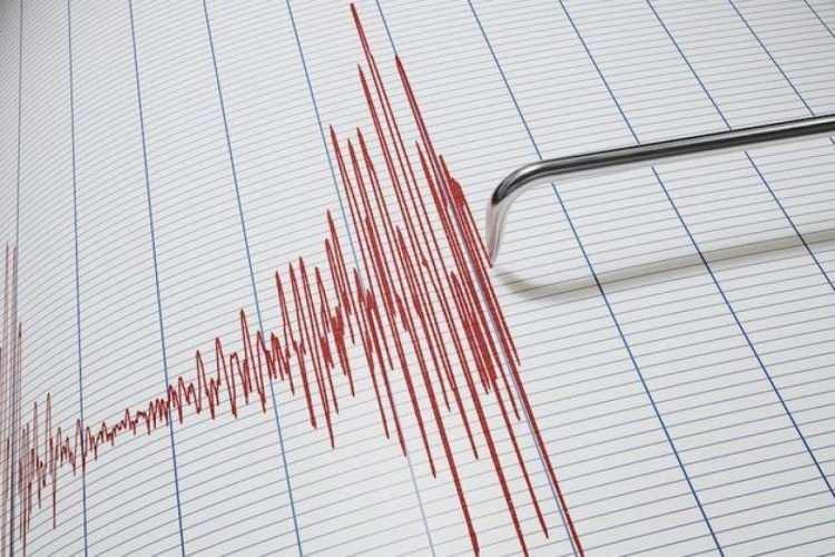 <p>AFAD tarafından paylaşılan bilgilere göre, Türkiye Deprem Tehlike Haritası yenilenerek, 18 Mart 2018 tarihli RG'de yayınlanmış, 1 Ocak 2019 tarihinde de yürürlüğe girmiştir.</p>
<p> </p>