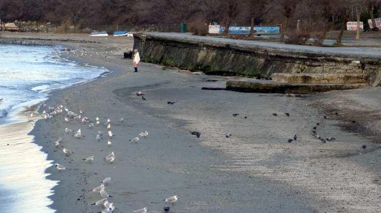 <p>Marmara Denizi'nde bu mevsimlerde zaman zaman yaşanan gel-gitler yine kendini gösterdi. </p>
