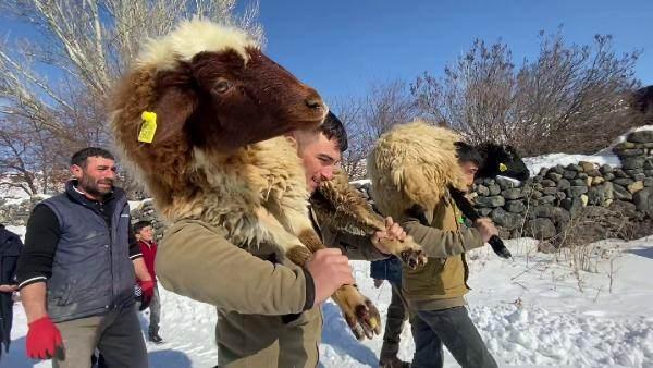 <p>Kars'a yaklaşık 50 kilometre uzaklıktaki 500 nüfuslu Tomarlı köyünde, Kahramanmaraş merkezli depremlerin yıktığı kentlerde yaşayanlara destek olmak amacıyla kampanya başlatıldı. </p>
