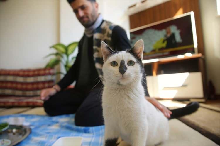 <p>Mardin Büyükşehir Belediyesi İtfaiye Daire Başkanlığına bağlı ekipte yer alan Ali Çakas, Kahramanmaraş merkezli depremlerde etkilenen Gaziantep'in Nurdağı ilçesinde arama kurtarma çalışmasında enkazdan çıkardığı ve Mardin'e getirdiği kediye özenle bakıyor.</p>
