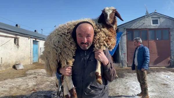 <p>Küçükbaş hayvancılığın yoğun olduğu 130 haneli köyde, gönüllüler 1'er hayvan bağışında bulundu. Bölge halkı, bağışladıkları koç, koyun ve keçiyi omuzlarında taşıyarak hayvan pazarına götürecek araçlara yükledi. </p>
