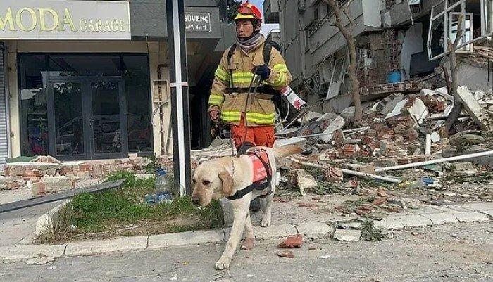 <p><span style="color:#800000"><strong>Güney Koreli ekibe arama kurtarma köpekleri de çalışma boyunca eşlik etti. Kurtarma çalışması sırasında ekibe destek sağlayan köpeklerden bazıları yaralandı. Köpekler bandajlı şekilde deprem sahasında çalışmaya devam etti.</strong></span></p>