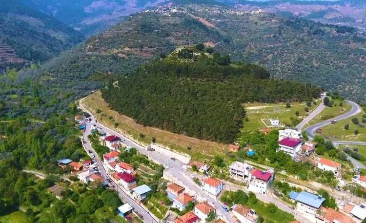 <p>AYDIN</p>
<p>Bozdoğan</p>