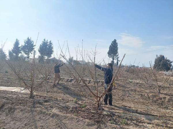 <p><strong>DEPOSU YIKILDI, MAHSULLERI SU ALTINDA KALDI</strong></p>

<p>Deprem nedeniyle zararı olduğunu anlatan Mıstıkoğlu, "Depremde elektriklerimiz kesildi, depolarımız çöktü içindeki mahsullerimiz gitti. Ekipmanlarımız suyun içinde kaldı. Kayıplarımız çok ama her beraber bu yaraları saracağız.</p>
