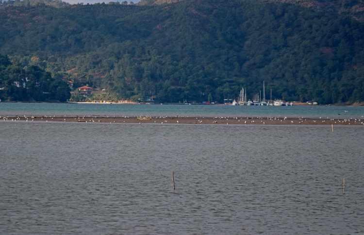 <p>Foça Mahallesi Çalış mevkisinde bölgede yaşayanlar ve ziyaretçiler ortaya çıkan manzaranın fotoğraflarını çekti.</p>
