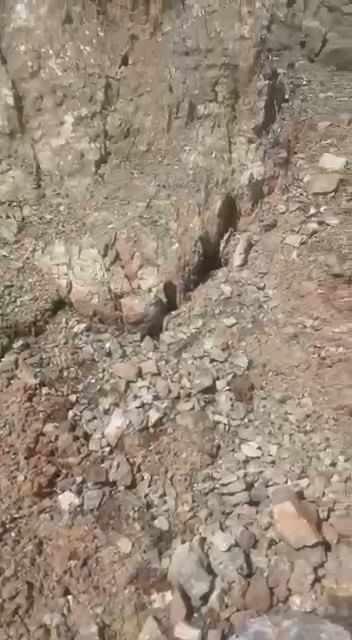 <p>Bir vatandaş tarafından kaydedilen görüntüler büyük tedirginlik yarattı.</p>
