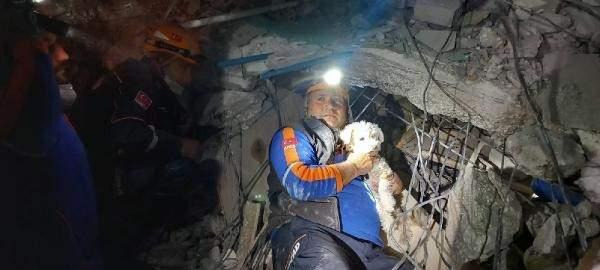 <p>Kahramanmaraş merkezli 7.7 ve 7.6 b&uuml;y&uuml;kl&uuml;ğ&uuml;ndeki depremlerin vurduğu Hatay&rsquo;a giden Erzurum AFAD ekipleri, b&ouml;lgedeki &ccedil;alışmalarını s&uuml;rd&uuml;r&uuml;yor.&nbsp;</p>
