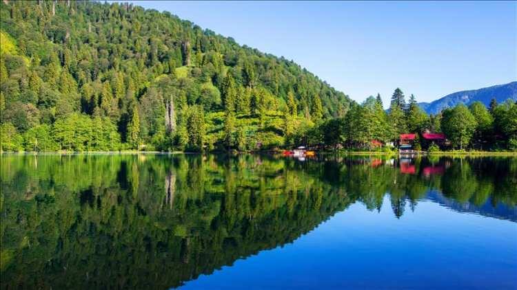 <p>2, 3 ve 4. derece bölgeleri içerisinde barındıran Artvin Türkiye geneline bakıldığında orta ve az riskli bölge olarak biliniyor, yine de sahil kesimleri 2. derece risk taşıyor.</p>

<p> </p>

