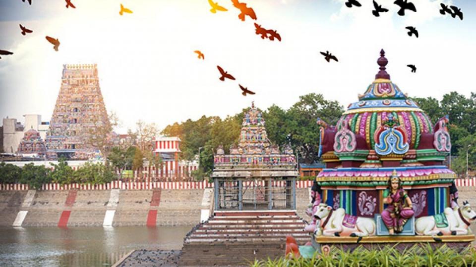<p><strong>32- Chennai / Hindistan​</strong><br />
<br />
11.564.000<br />
 </p>
