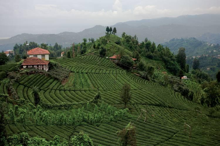 <div>Doğu Karadeniz'de iklim değişikliğinin kendini taşkın ve sellerle gösterdiğini işaret eden Ersoy, "Karadeniz Bölgesi'ndeki kuraklık için yayınlanan haritalara baktığımız zaman, Trabzon çevredeki illere nazaran son 3-4 ayda en fazla kuraklığın yaşandığı illerden birisi. Doğu Karadeniz Türkiye'nin en fazla yağış alan, yüzey suyu açısından hiçbir eksiği olmayan bölge olarak görülmesine rağmen, bu etkileri yavaş yavaş önümüzdeki 10 yıl içerisinde yaşayacağız." dedi.</div>

<div> </div>
